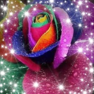 Meet your Posher, Elia